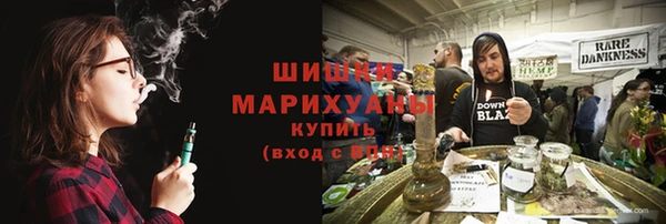 сатива Надым