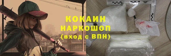 сатива Надым