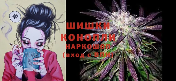 сатива Надым