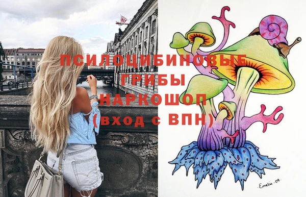 сатива Надым