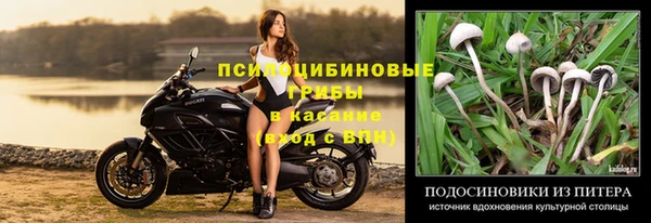 сатива Надым