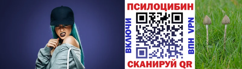 Псилоцибиновые грибы мицелий  нарко площадка телеграм  Новошахтинск  hydra ссылка 