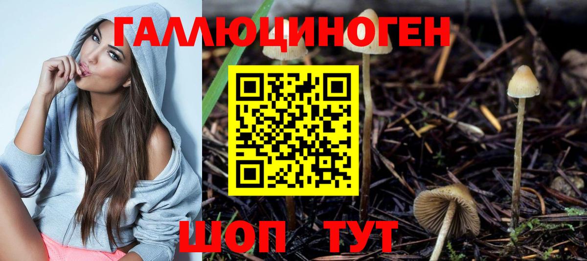 Галлюциногенные грибы мицелий  Псилоцибиновые грибы MAGIC MUSHROOMS  Новошахтинск  Вход с VPN 